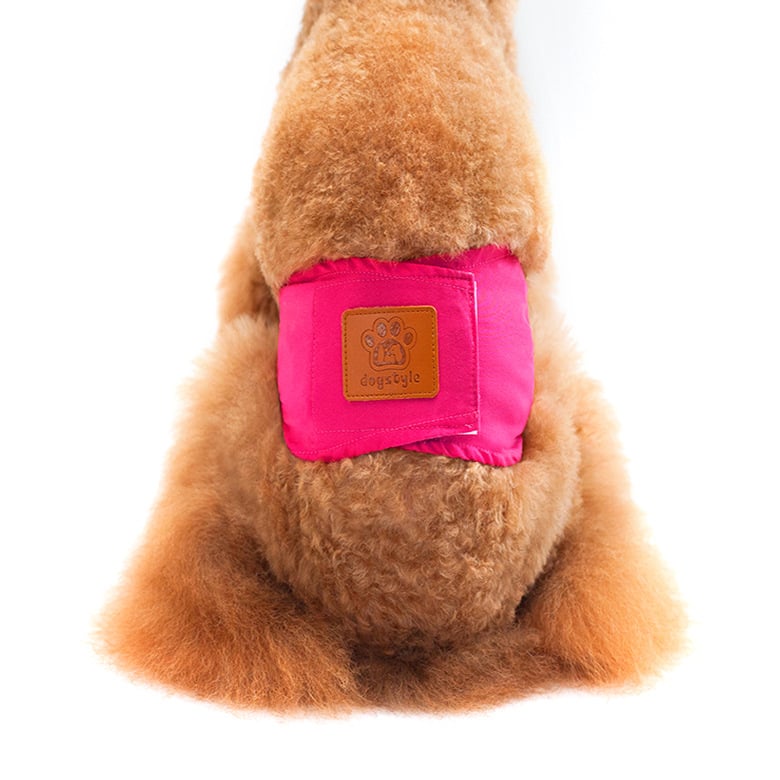 Solid Color Physiology Pants for Male Dogs